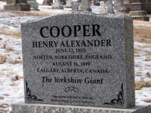 Alexander Cooper