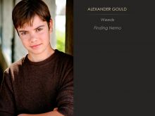 Alexander Gould #171901 picture (Landscape Medium)