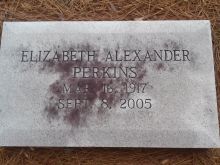 Alexander Perkins