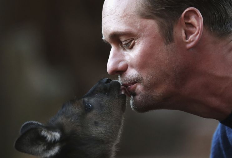 Alexander Skarsgård