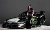 Alexis DeJoria