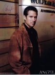 Alexis Denisof