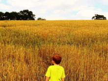 Alfie Field
