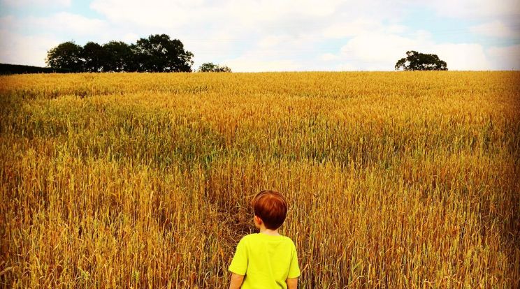 Alfie Field