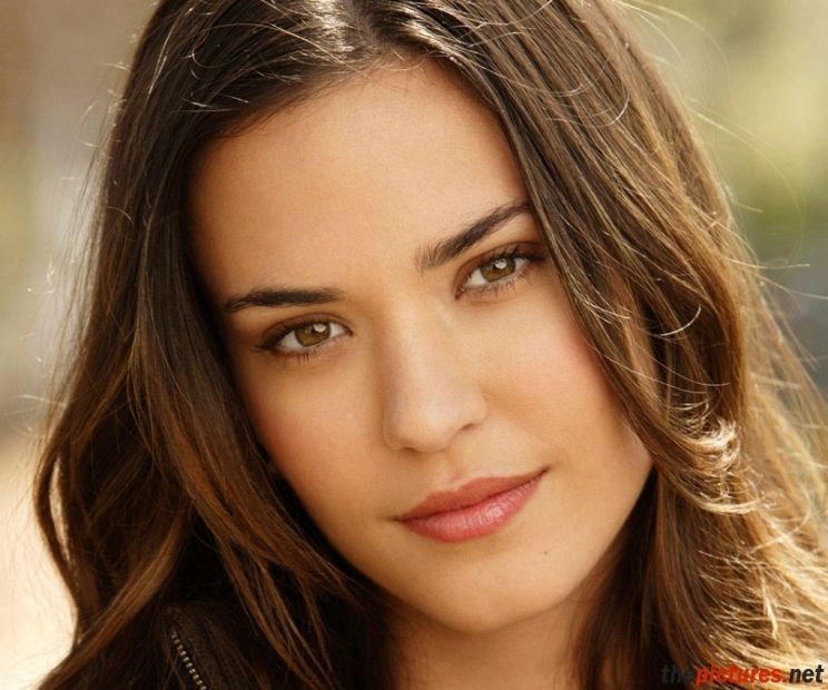Ali Cobrin