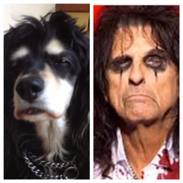 Alice Cooper