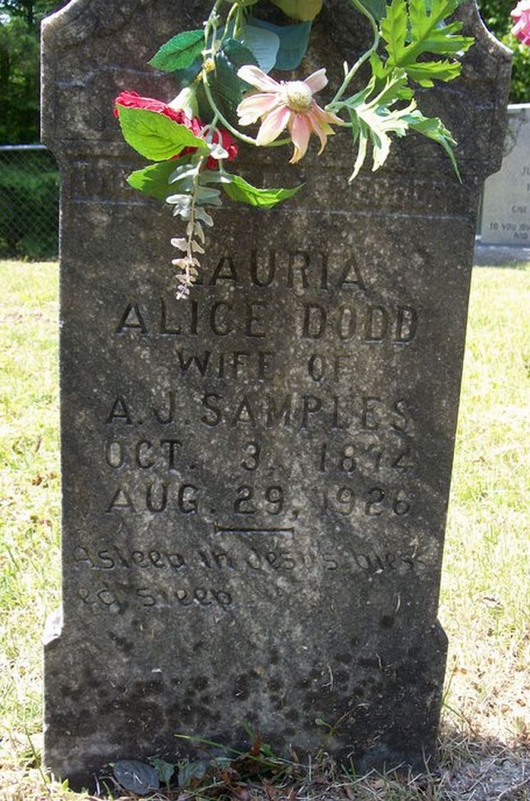 Alice Dodd