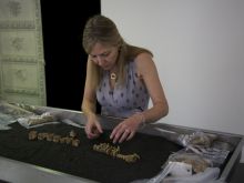 Alice Roberts