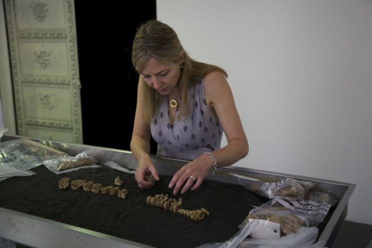 Alice Roberts