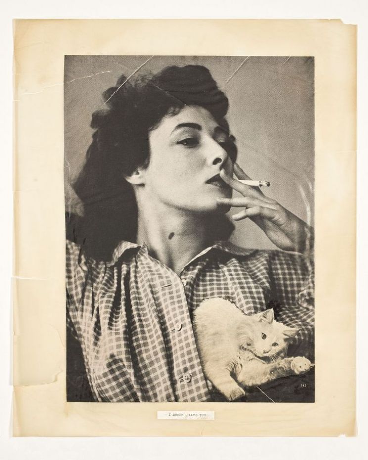 Alison Fraser