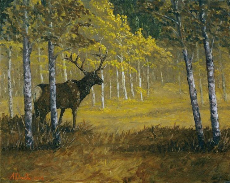 Allan Drake