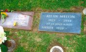 Allan Melvin