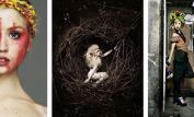 Allison Harvard