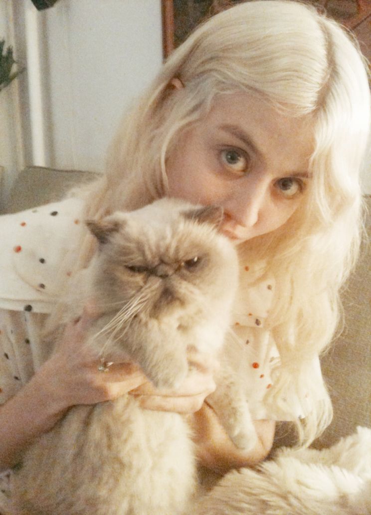 Allison Harvard