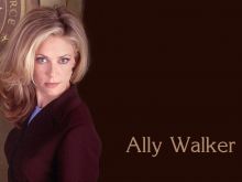 Ally Walker #201519 picture (Landscape Medium)