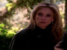 Ally Walker #201549 picture (Landscape Medium)