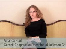 Amanda Root