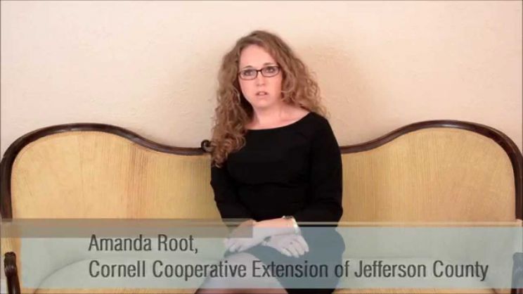 Amanda Root