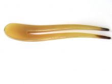 Amber Horn