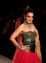Ameesha Patel photo