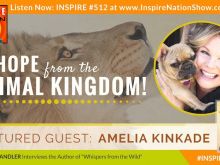 Amelia Kinkade #1785833 picture (Landscape Medium)