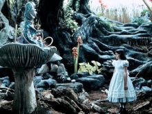 Amelia Shankley photo