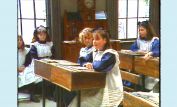 Amelia Shankley