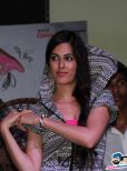 Amrit Maghera