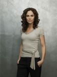 Amy Brenneman