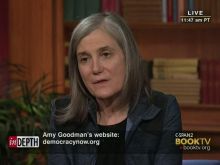 Amy Goodman #3886926 picture (Landscape Medium)