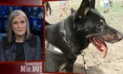Amy Goodman