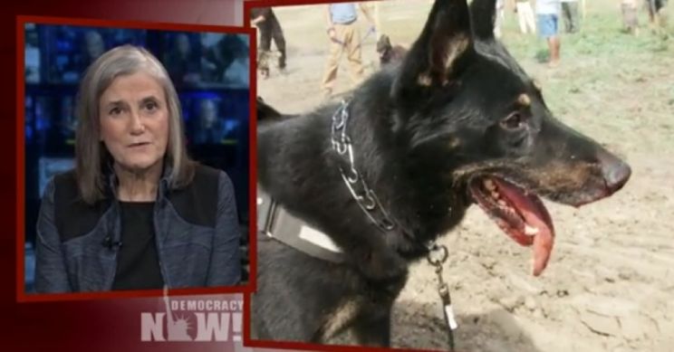 Amy Goodman
