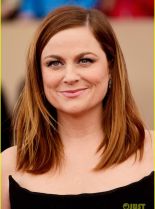 Amy Poehler