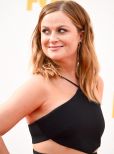 Amy Poehler