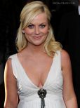 Amy Poehler