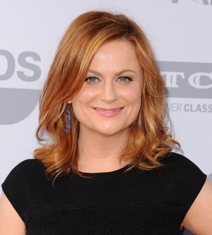 Amy Poehler