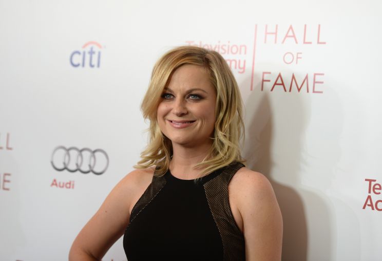 Amy Poehler
