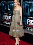 Amy Ryan