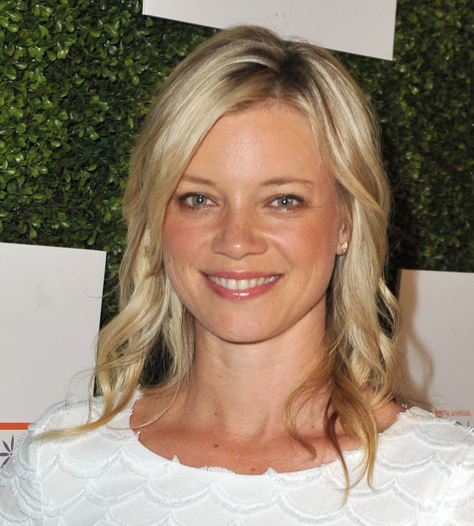 Pictures of Amy Smart
