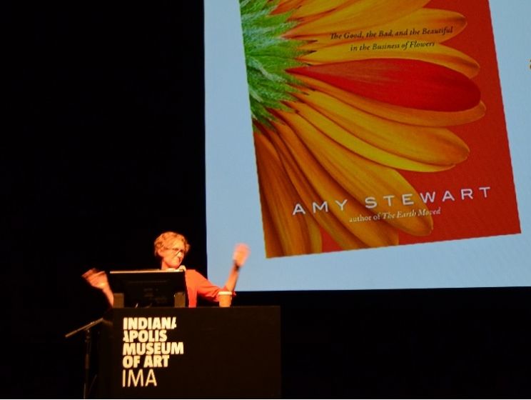 Amy Stewart
