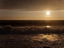 Amy Tyger #4193701 picture (Landscape Medium)
