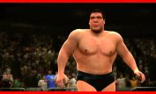 André the Giant