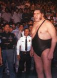 André the Giant