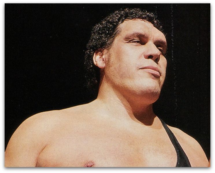 André the Giant