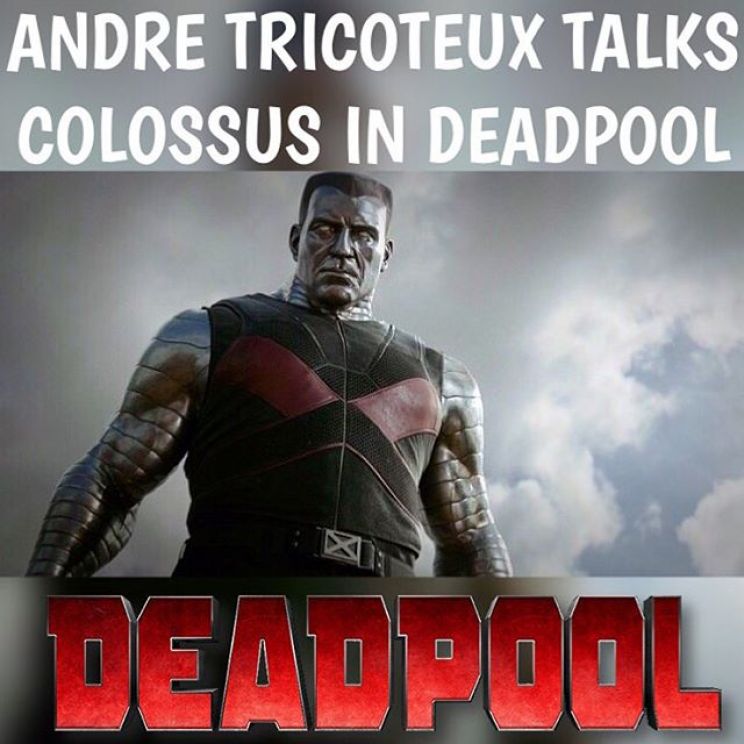 Andre Tricoteux