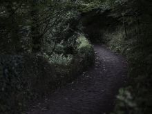 Andrea Allan #3947139 picture (Landscape Medium)