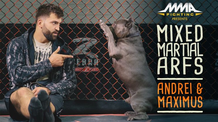 Andrei Arlovski