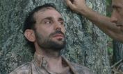 Andrew Rothenberg