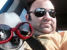Andy Berman