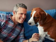 Andy Cohen